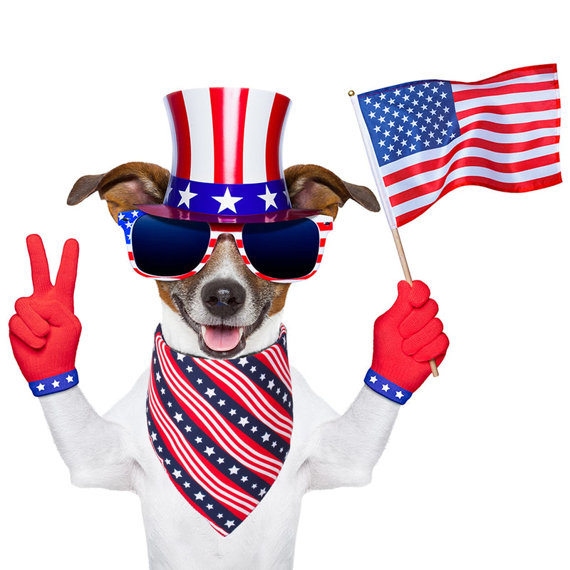 American US Flag Dog Bandana 4th of July Dog Bandanas Reversible Triangle Bibs Scarf for Small Medium Large Dogs (Style 1) Style 1 - PawsPlanet Australia