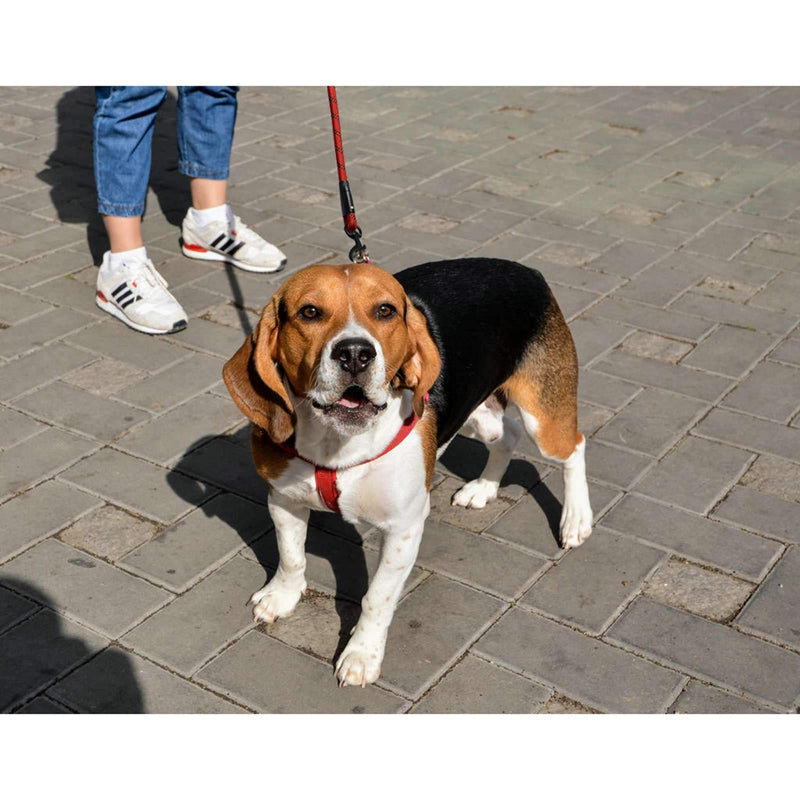 Anbeer 5 FT Strong Dog Lead with Soft Padded Handle and High Reflective Threads, Durable Pet Leash for Medium Large Dogs (Red) Red - PawsPlanet Australia