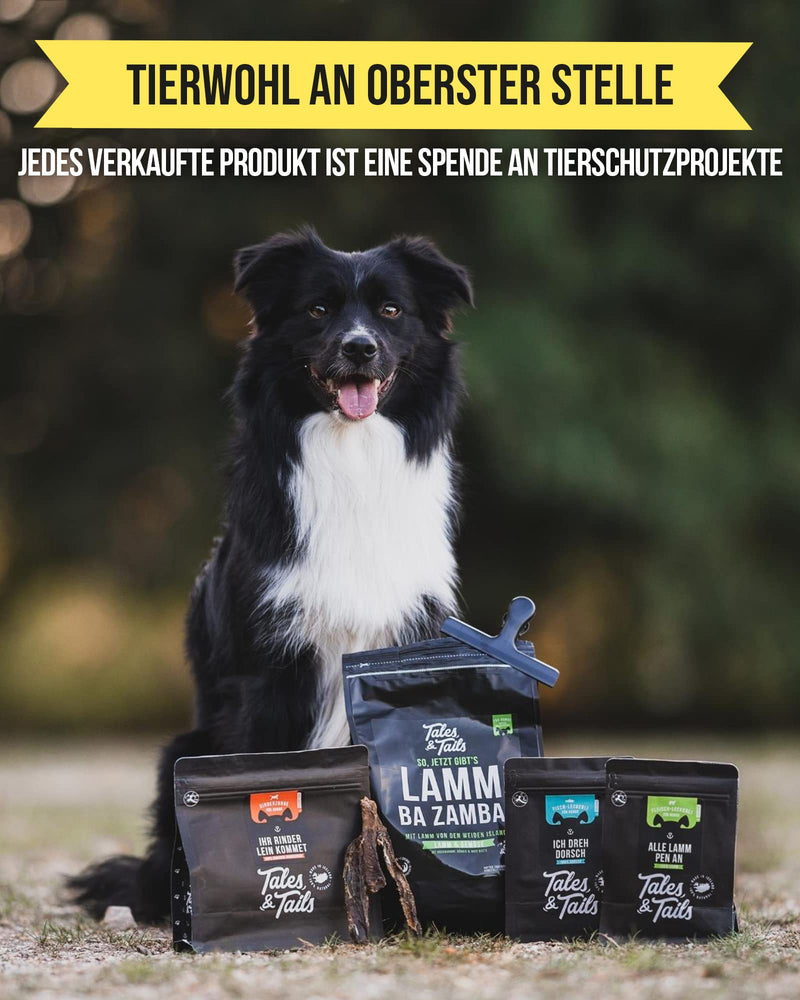 Tales & Tails® - Food tube for dogs I Training and rewarding on the go I Recall training I Dog encounters I fits in every jacket pocket (pack of 1) 80 ml (pack of 1) - PawsPlanet Australia