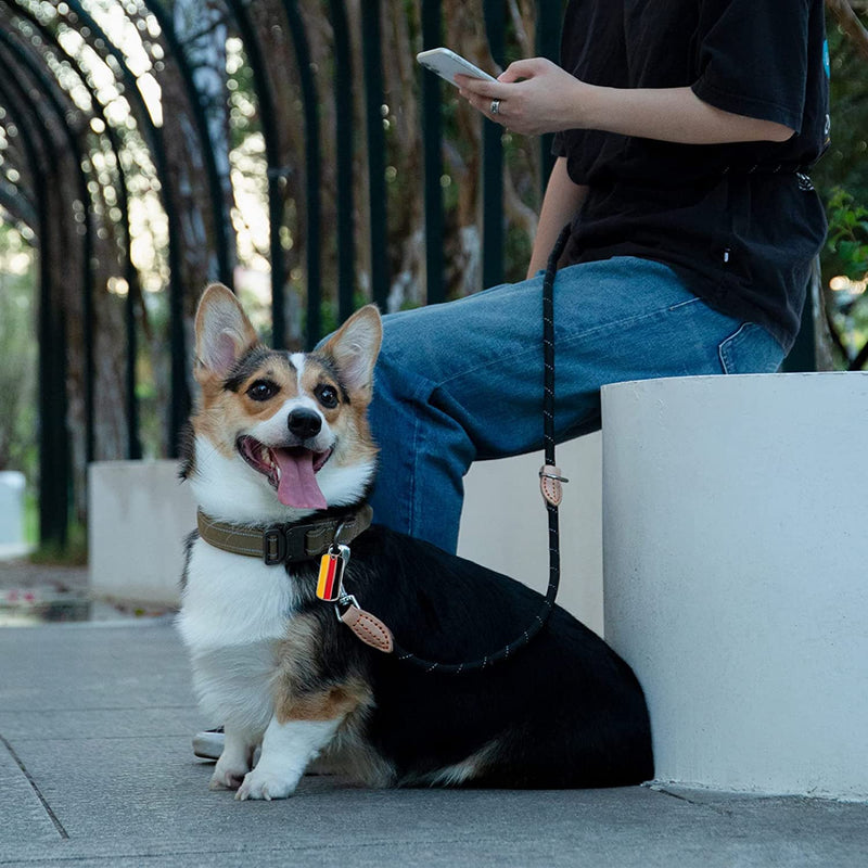 Dog leash 2.1 m large dog double leash reflective, drag leash for dogs, premium dog leash 3-way adjustable shoulder leash made of nylon, dog leash round and bite-resistant with 2 carabiners - PawsPlanet Australia