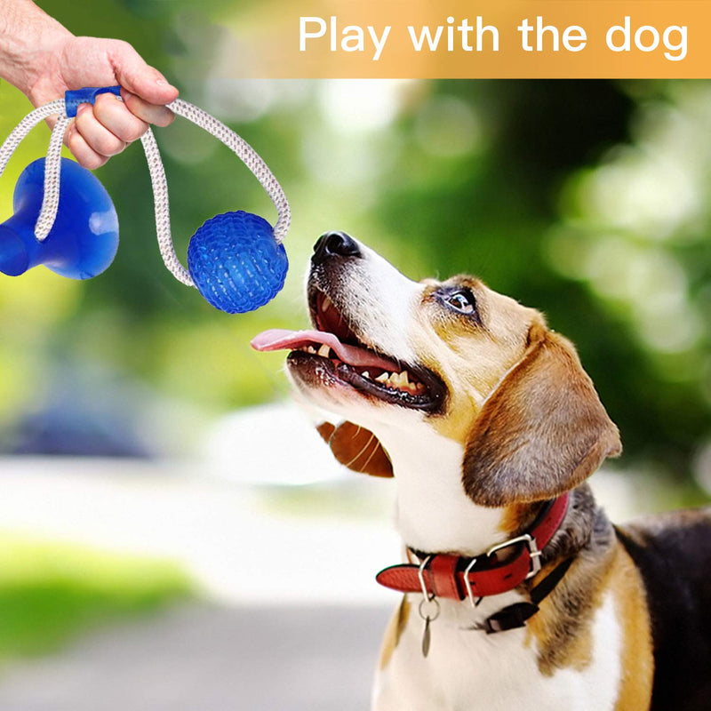 Suction Cup Dog Toy, VIKINICY Hedgehog Pet Dog Toy Interactive Durable Small Dog Toys Aggressive Chew Pet Toys for Dogs for Tug/Chewing/Teeth Cleaning Suction Cup Dog Toy - PawsPlanet Australia