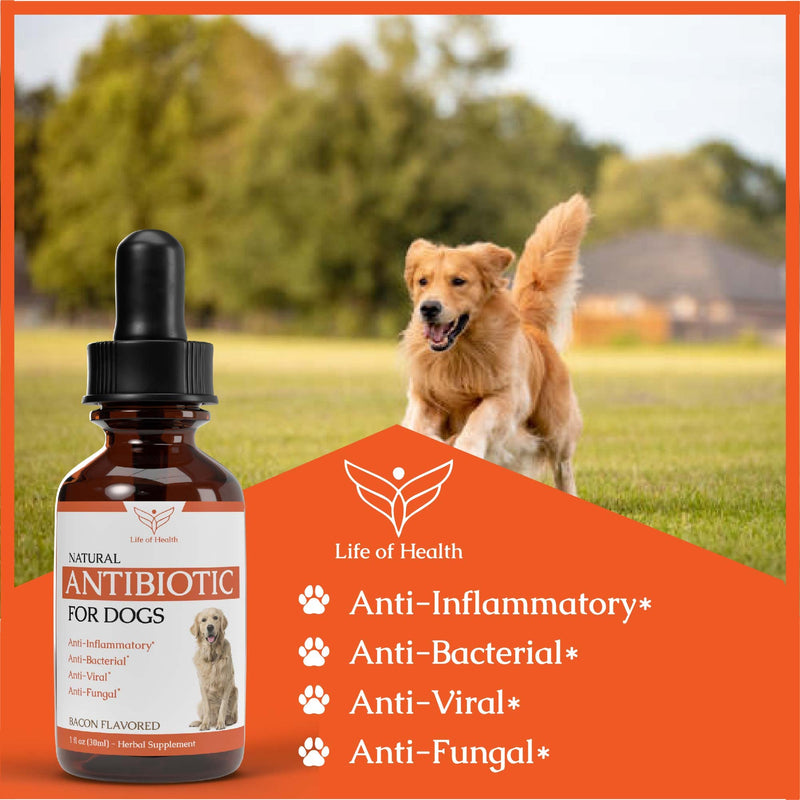 Natural Dog Antibiotics | Antibiotics for Dogs | Helps Support a Healthy Immune System | Supports Dog Allergy Relief | Dog Itch Relief | Dog Multivitamin | Pet Antibiotics | Dog Antibiotic | 1 fl oz - PawsPlanet Australia