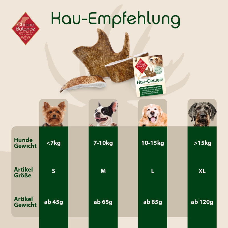 ChronoBalance® Chewing Antlers Fallow Deer for Dogs: M Chew Toy 100% Antler Drop Bar: Chew Bar Dog Toy for Dental Care, Natural Chew Snack, Minerals & Nutrients M (Pack of 1) - PawsPlanet Australia