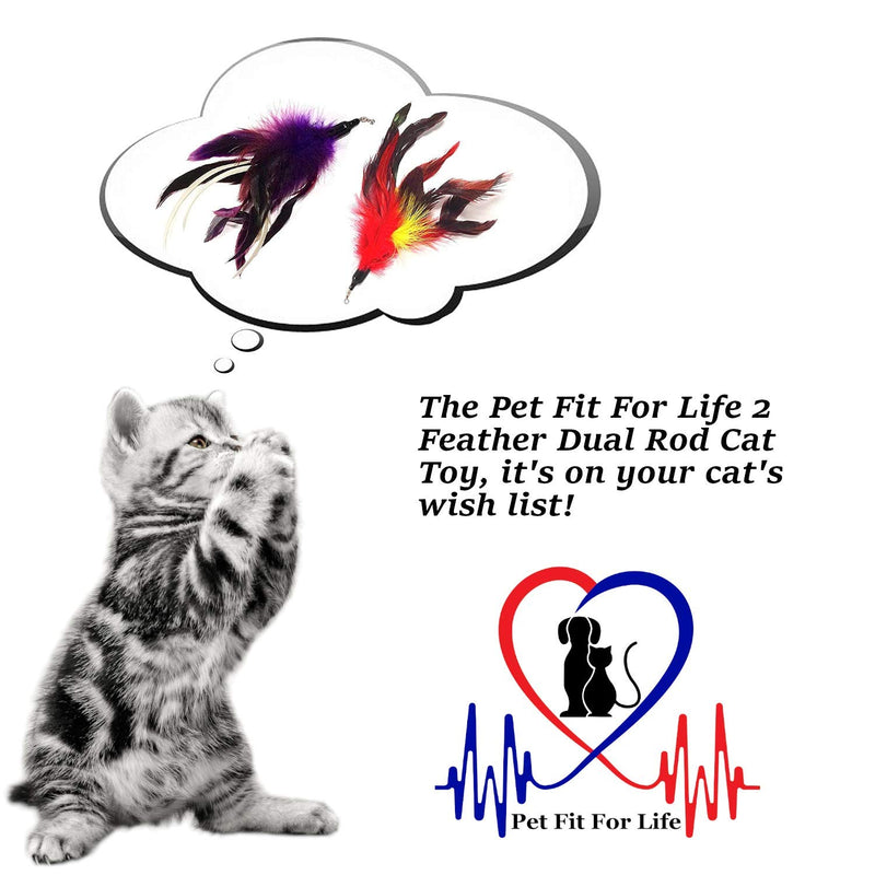 Pet Fit For Life Multi Feather Teaser and Exerciser for Cat and Kitten - Cat Toy Interactive Cat Wand - PawsPlanet Australia