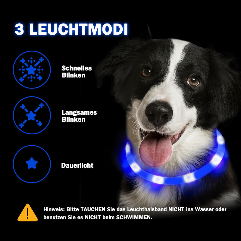Nepfaivy Luminous Dog Collar USB Rechargeable - Luminous Dog Collar with Adjustable Length for Small to Large Dogs, LED Collar for Dogs with 3 Lighting Modes for Safety, Blue - PawsPlanet Australia