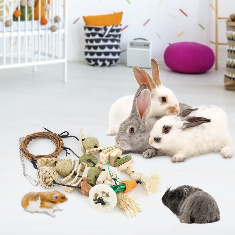 Bissap Bunny Chew Toy, Rabbits Cage Hanging Chew Toys and Treats Rattan Ring with Snacks for Guinea Pigs Chinchillas Hamsters Rats and Other Small Pets Teeth Grinding - PawsPlanet Australia