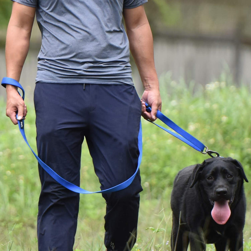 Traffic Nylon Classic Basic Dog Collar (2019 Quick Release Sturdy Buckle Without Snagging Hair - Pup Boy and Girl Dogs Walking and Training. (Small, Bright Blue) Small - PawsPlanet Australia