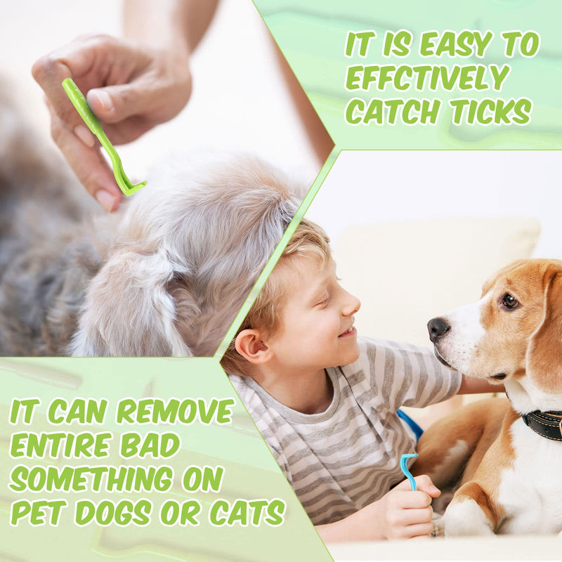 Kittmip 24 Packs Tick Remover Plastic Tick Remover Tools Tick Puller Removal Tick Grabber for Dogs Cats Humans, 3 Sizes, Green Rose Red Blue Orange - PawsPlanet Australia