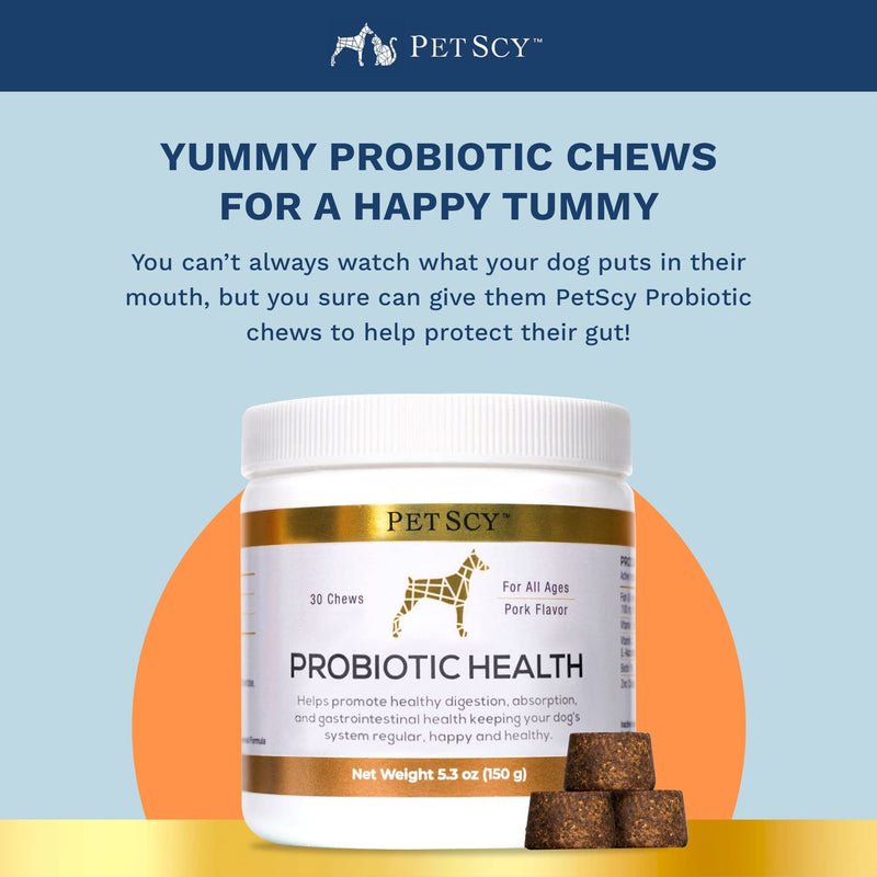 PetScy Probiotic Chews with Prebiotic Fiber and Omega 3 Fish Oil for Canine Enteric Support - Gut Health and Skin and Coat Supplement for Dogs - 30 Chews for All Ages and Breeds - Made in The USA - PawsPlanet Australia