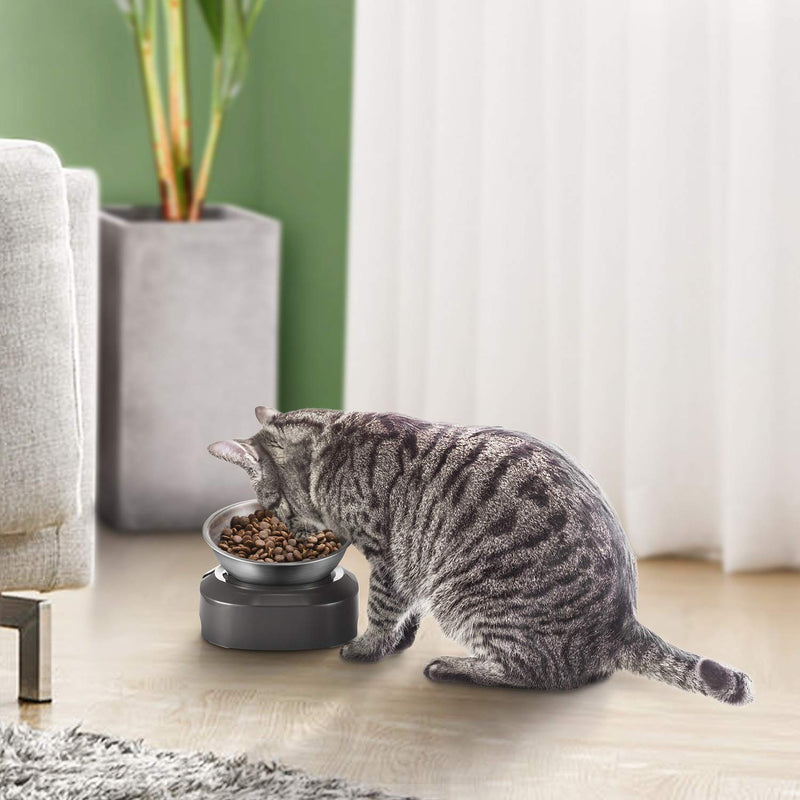 [Australia] - Vekonn Elevated Cat Bowl, Cat and Small Dog Food Bowl Stand, Stainless Steel Cat Food Bowl, Healthy Eating Posture and Ergonomics for Pets, Non Slip No Spill 