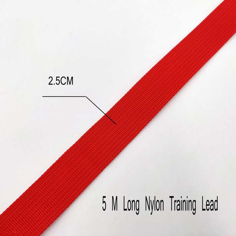 Accod Dog Training Lead Leash 5M Nylon Dog Lead Dog Long Lead Rope with 360 Degree Rotating Stainless Steel Hook for Small Medium and Large Dog (Red) red - PawsPlanet Australia