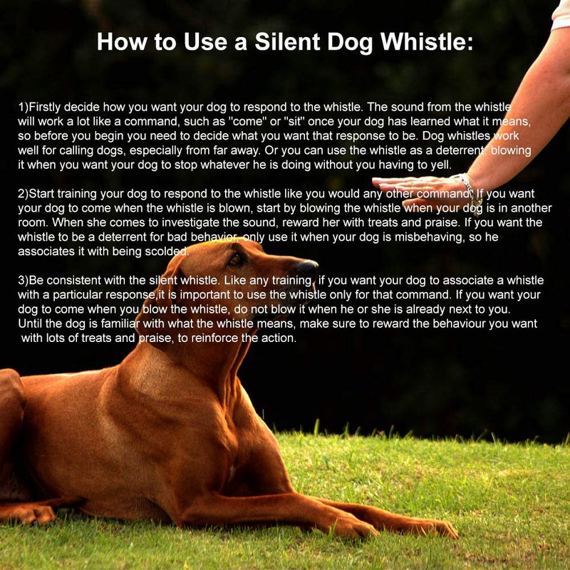 [Australia] - Mumu Sugar Dog Whistle to Stop Barking, Silent Bark Control for Dogs - Ultrasonic Patrol Sound Repellent Repeller - Dog Whistle Politics Training for Call - Dog Free Lanydard Strap Black 