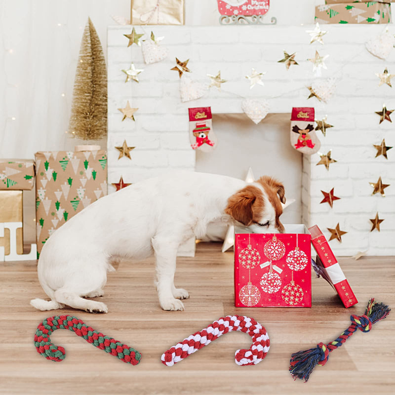 Dog toy, pack of 3 dog chew toys, dog toy indestructible, Christmas dog toy, dog toy Christmas, dog cuddly toy for medium-sized dogs, small dogs, puppy toy B - PawsPlanet Australia