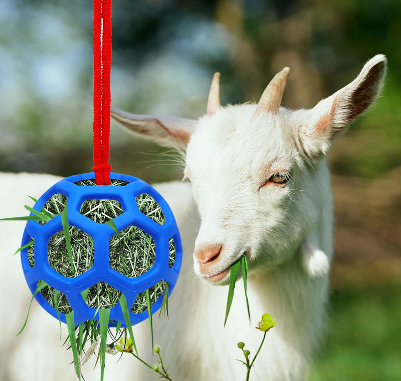 Horse Treat Ball Hay Feeder Holder Hanging Slow Feeding Toy for Goat Sheep Horse Stable Stall Paddock Rest Relieve Stres - PawsPlanet Australia