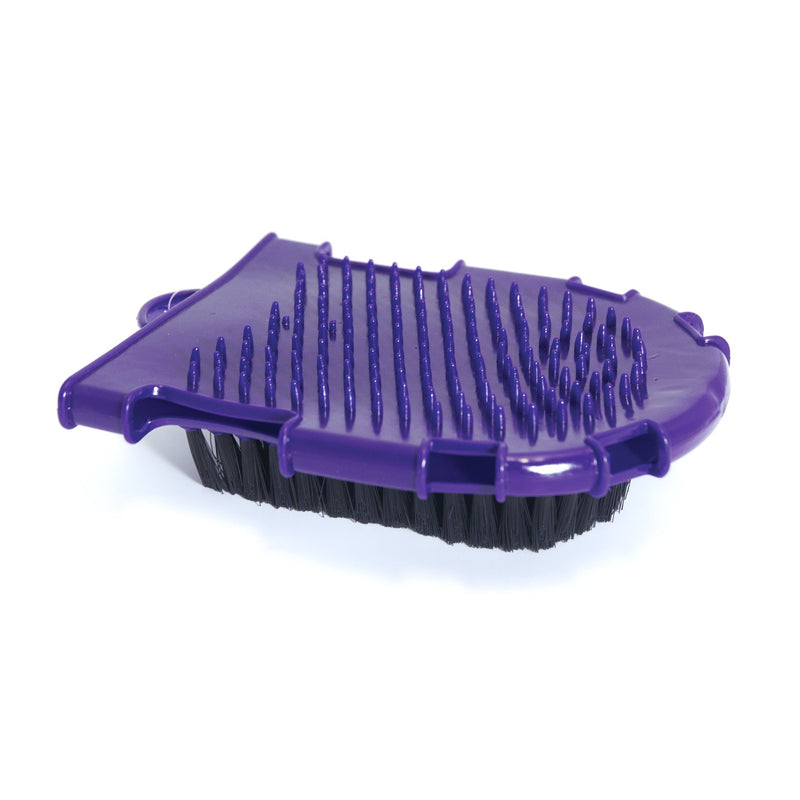 [Australia] - Roma Bristle Back Grooming Mitt Purple 