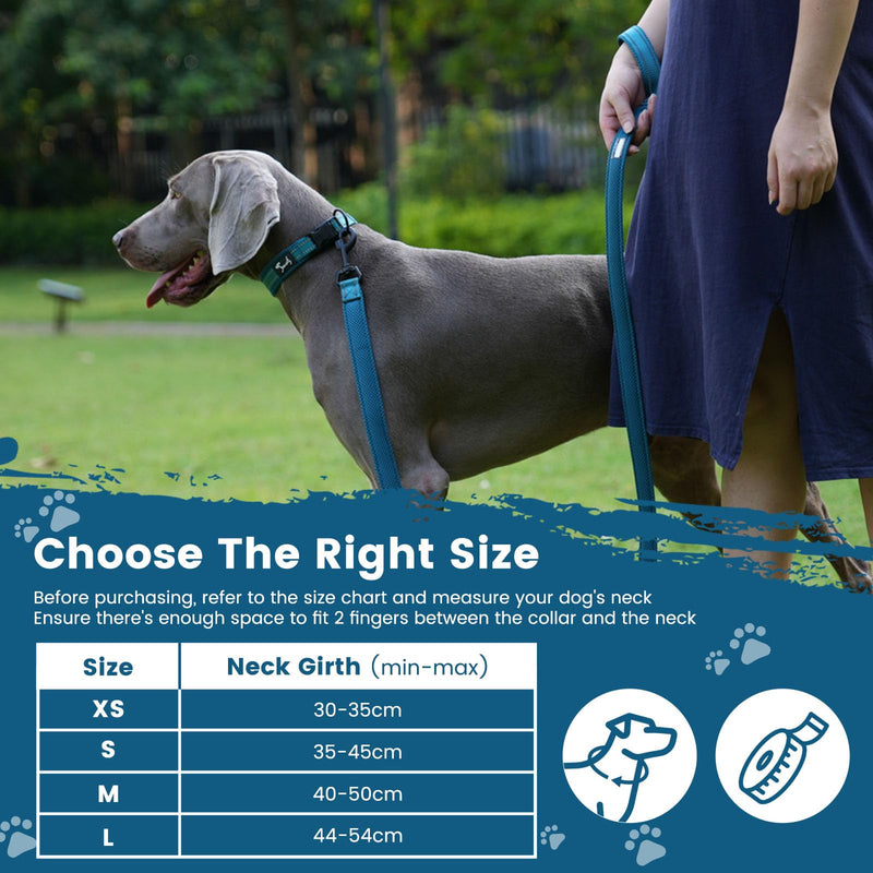 IDOGCHEW Dog Collar Adjustable and Reflective, Breathable Nylon Soft Padded Collar, Multiple Sizes for Small Medium Large Dogs (Blue, S) Blue - PawsPlanet Australia