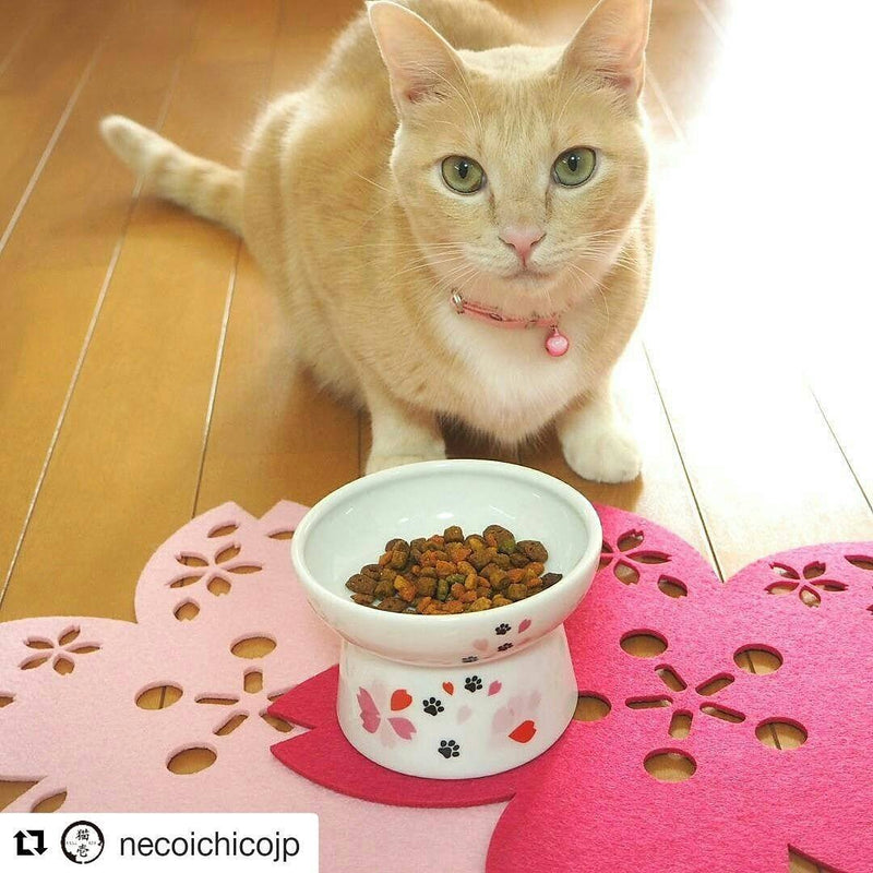 [Australia] - Necoichi Raised Cat Food Bowl, Stress Free, Backflow Prevention, Dishwasher and Microwave Safe, Made to EC & ECC European Standard Sakura Limited Edition 