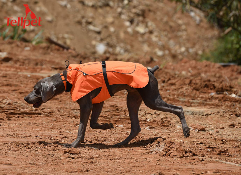 [Australia] - Tellpet Dog Jacket Waterproof Dog Raincoat, Reflective Dog Jacket XXL(Chest:31.5-37.5",Back Length:22") Orange 