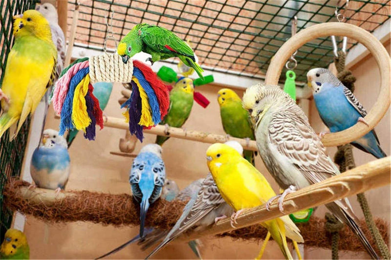 Scoolr Bird Parrot Toys, 6Pcs Bird Chewing Toys Parrot Foraging Toys Colorful Rope Swing Chewing Hanging Bell Cage Perches Toys For Small Parrots, Macaws, Parakeets, Conures, Cockatiels, Love Birds - PawsPlanet Australia