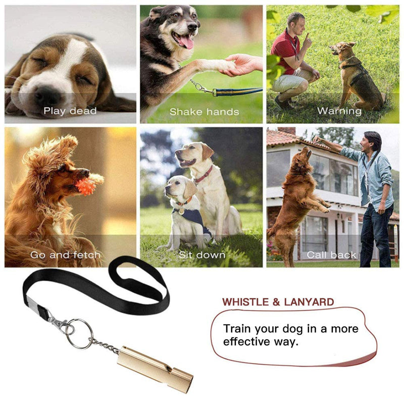 Dog Whistle, Dog Training Whistles with Lanyard Double Tubes and Keychain 2 Packs Security Survival Whistle for Dog Training - PawsPlanet Australia