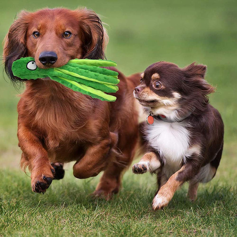Qanye 2 pieces squeaky toys for dogs, dog toys, plush dog toys, dog toys without filling, for cleaning teeth, suitable for small and medium dogs - PawsPlanet Australia