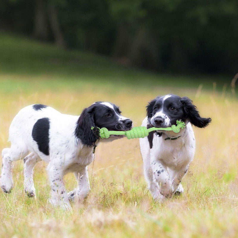 7 Pieces Dog Rope Toys Pet Rope Chew Toy Dog Chew Toy Teething Training Pet Supplies for Dog Interactive Toy Dental Health - PawsPlanet Australia