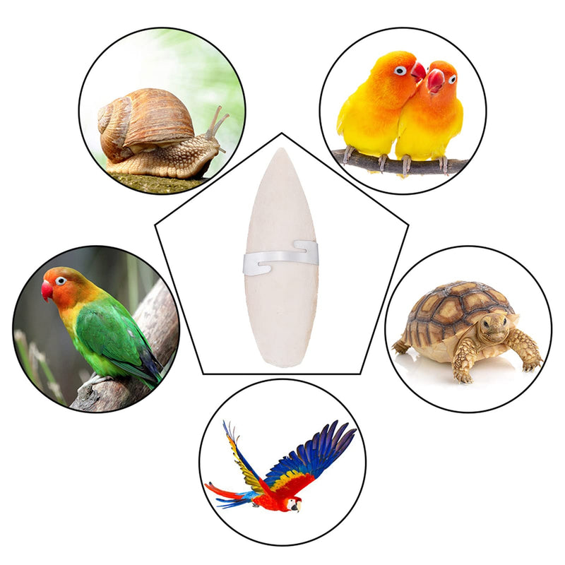 Fuyamp 6Pcs Birds Chew Toys Parrots Chew Toys DIY Birds Toys with 3 Pieces Metal Holder Natural Cuttlefish Bone for Reptiles Tortoises Snails,11-13cm - PawsPlanet Australia