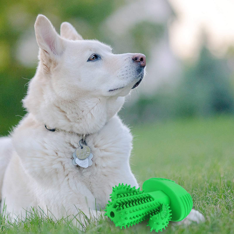 G.C Dog Chew Toys Indestructible Squeaky Toy Cactus Toothbrush Interactive Tough Durable Teeth Cleaning for Aggressive Large Medium Pets Doggy - PawsPlanet Australia