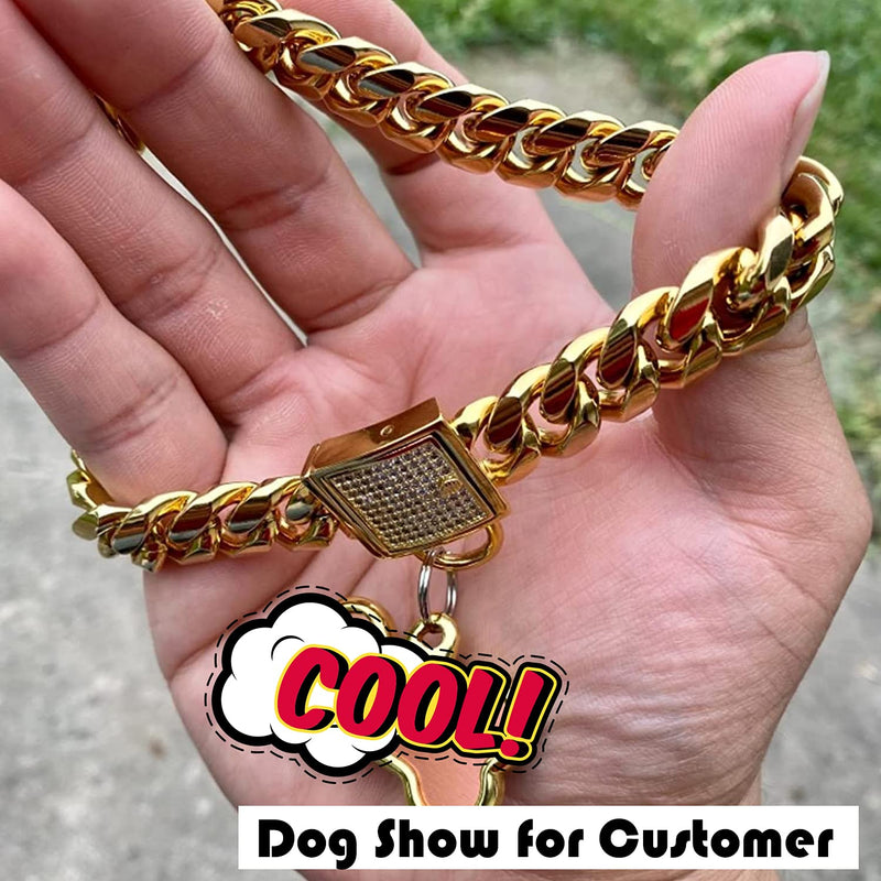 W/W Lifetime Dog Chain Collar Walking Metal Dog Collar with Bling Bling CZ Buckle, Gold Cuban Link 14MM Strong Heavy Duty Chew Proof for Small Medium Large Dogs American Pitbull German Shepherd 10"(Suits Dog Neck 8" to 9.5") - PawsPlanet Australia
