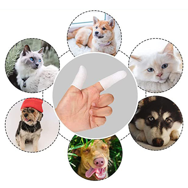 Pack of 6 dog toothbrushes, dog toothbrush for small dogs, dog toothbrush, cat toothbrush, dog toothbrush, dog finger toothbrush, knitted fabric, for dental care for pets, anti-plaque - PawsPlanet Australia