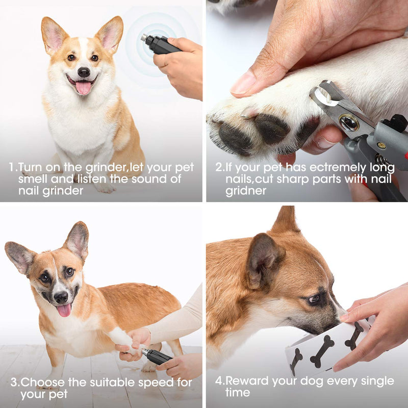 [Australia] - oneisall Dog Nail Clippers - Upgraded 2 Speed Cat Nail Grinder Professional Pet Nail Trimmer Paws Grooming & Smoothing Claw Care for Small Medium Large Dogs & Cats with LED Lighting 