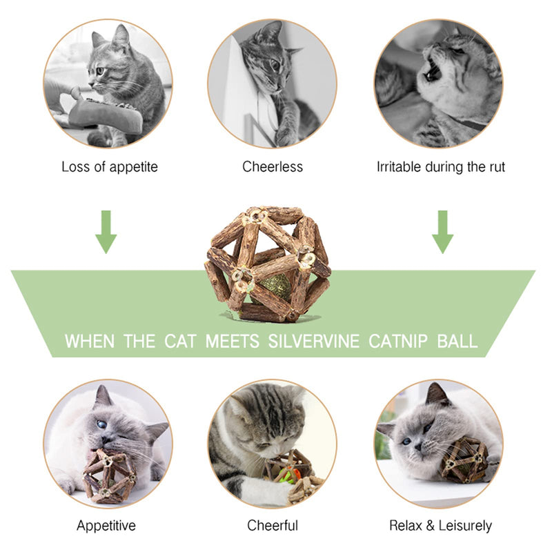 Gochanmon Catnip Toys-2Psc Natural Silvervine Stick Catnip Ball&Bell Ball-Cat Toys for Indoor Cats- Cleaning Teeth Molar Tools Matatabi Cat Chew Toy-Kitten Toys - PawsPlanet Australia