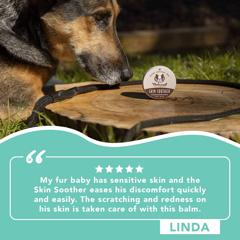 Natural Dog Company Skin Soother, All Natural Healing Balm for Dogs, Relieves Dry, Itchy Skin, Treats Skin Irritations, Wounds, Hot Spots, Dermatitis 1 OZ - PawsPlanet Australia