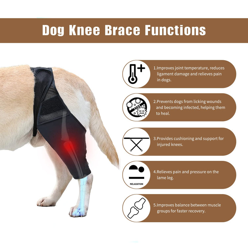 Lineiss Dog Knee Brace Dog Acl Leg Brace Dog Knee Brace for Torn Acl Hind Leg Dog Knee Brace for Luxating Patella Dog Hip Support Brace Adjustable Rear Leg Braces for Dogs Pet Knee Brace Black L - PawsPlanet Australia