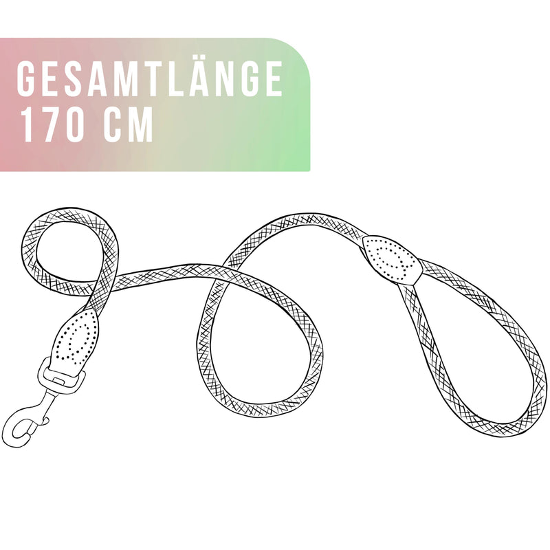 ne&no rope leash for dogs 1.7m I training leash I dog leash robust I round lead, braided I hand strap I rope leash dog I city leash I dog leash (mauve, 170 cm) MAUVE - PawsPlanet Australia