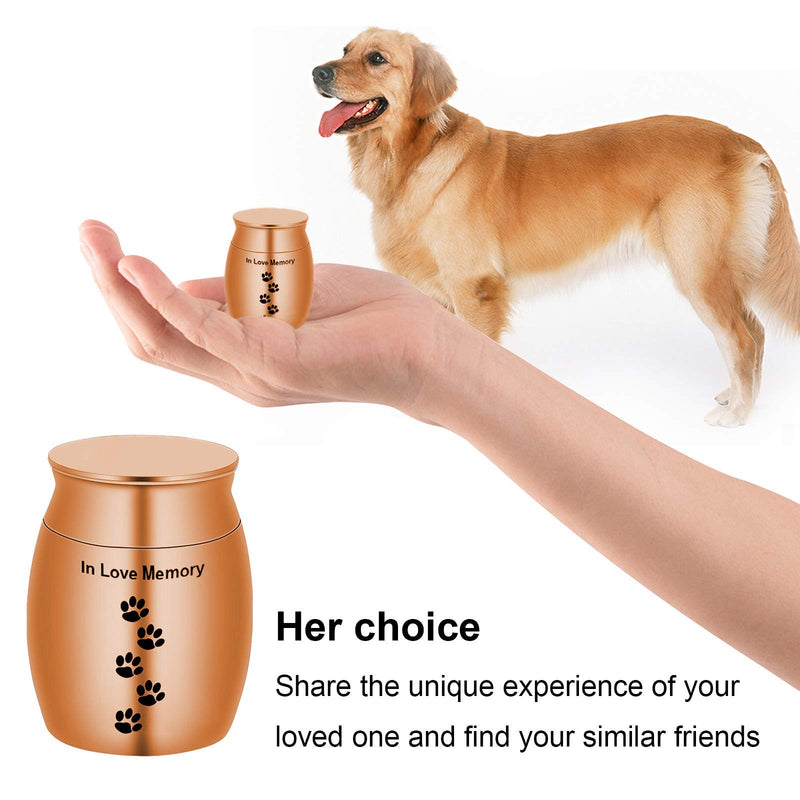 Broadsheet Mini Urns for Human Ashes, Metal Pet Urns for Dogs Ashes Keepsake Urns for Human Ashes, Pet Urns Dog Urns for Ashes Holder-Your Footprint Has Gone, But My Heart was Not (Gold) - PawsPlanet Australia