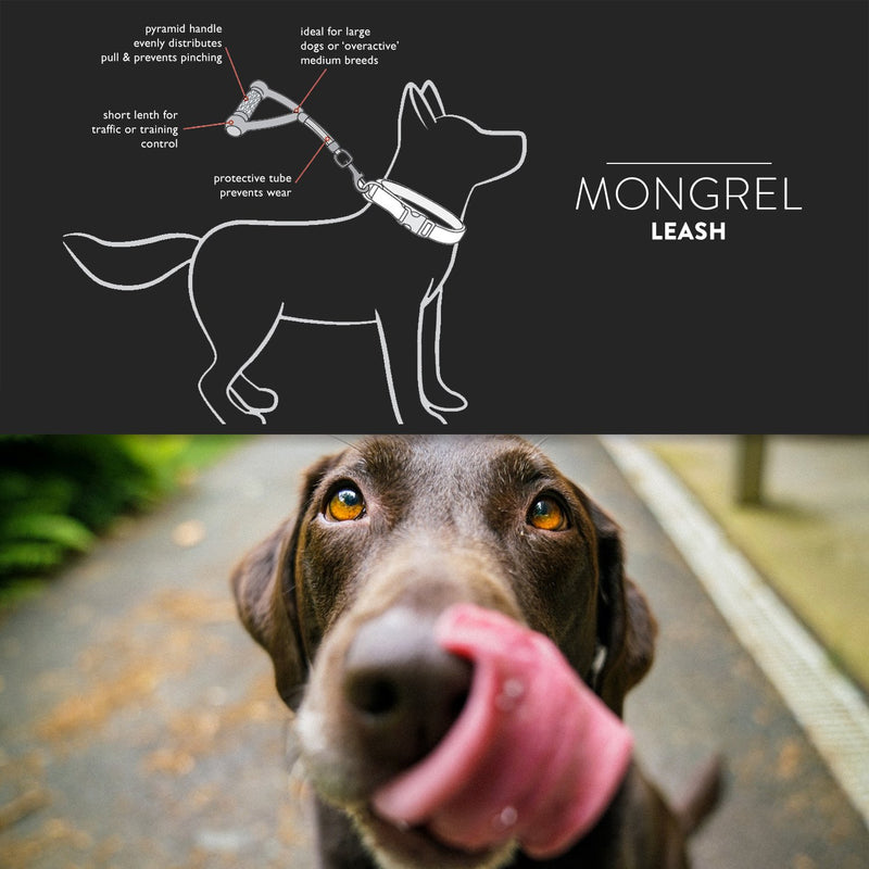 [Australia] - EzyDog Mongrel Dog Leash, 12-Inch Black 