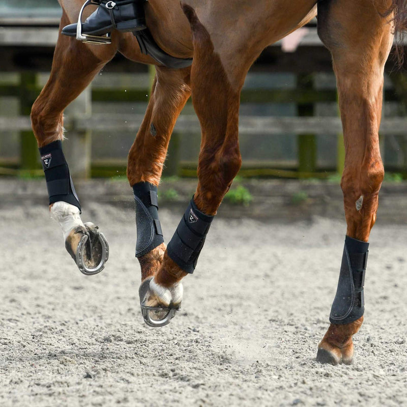equilibrium See Description Tri-Zone Brushing Boots White-It's Ideal for Your All Your Hacking, Training, Schooling and flatwork Needs XS Black - PawsPlanet Australia