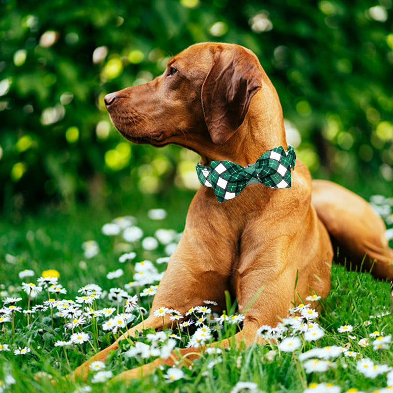 Elegant little tail St. Patrick's Day Dog Collar, Dog Collar with Bow, Green Grid Dog Collar Pet Gift Dog Bowtie Adjustable Dog Collar for Small Dogs Small (Pack of 1) A: Green Grid - PawsPlanet Australia