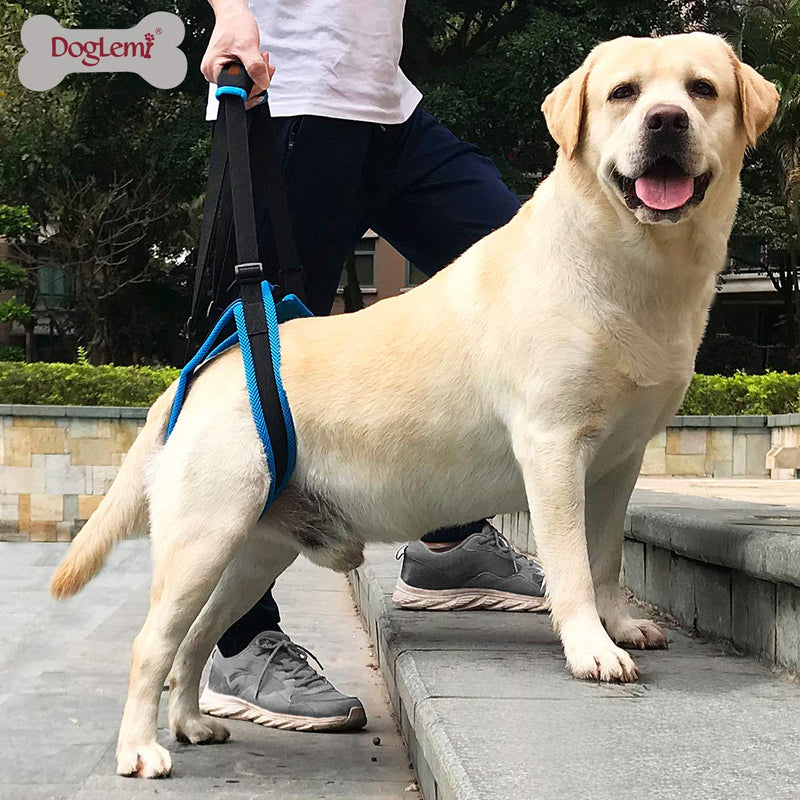 BePetMia Dog Lift Support Harness - Dog Support Harness for Back Legs, Help Lift the Back Legs, Dog Rear Harness Support for Elderly, injured, Sick and Disabled Dogs (M: 13.8-17.7 inch) M: 13.8-17.7 inch - PawsPlanet Australia