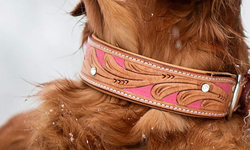 MICHUR Pinklady Dog Collar Leather, Leather Collar Dog, Collar, LEATHER, BEIGE, Caramel, Brown, PINK, WITH PUNCHINGS and Rhinestones Neck circumference 22.05-25.04" - PawsPlanet Australia