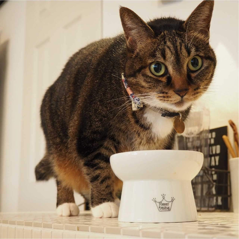 [Australia] - Necoichi Raised Cat Food Bowl, Stress Free, Backflow Prevention, Dishwasher and Microwave Safe, Made to EC & ECC European Standard Cupcake 