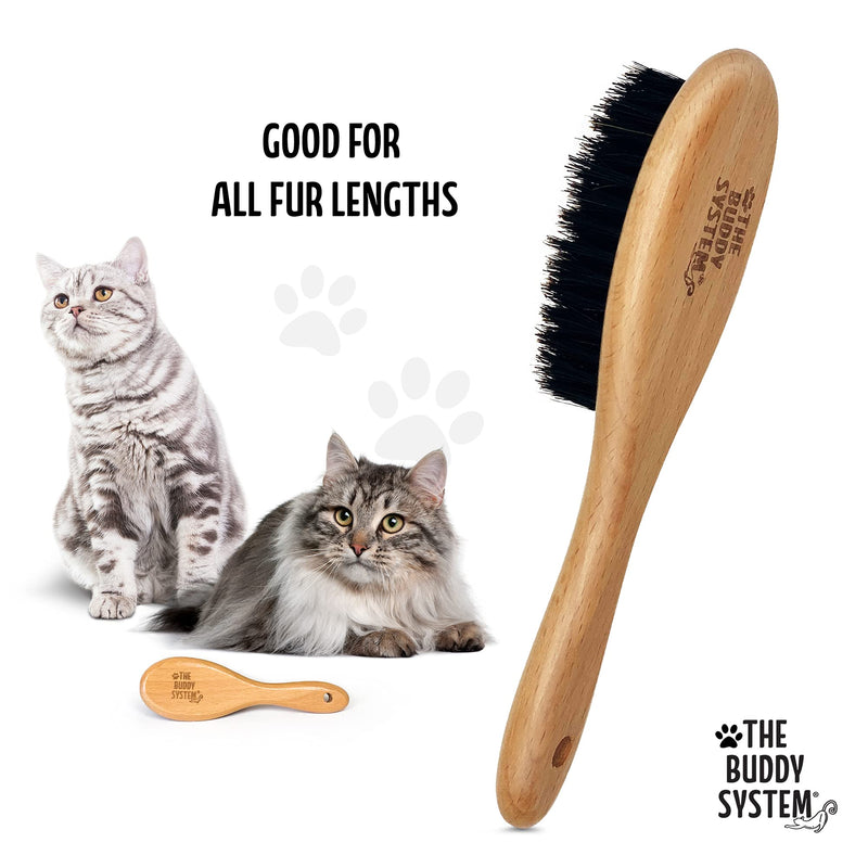 The Buddy System Cat Brush with Boar Bristle and Wooden Handle, Professional Grade Daily Grooming Hairbrush, Reduce Shedding, Soft Hair and Healthy Shine 1 Pack - PawsPlanet Australia