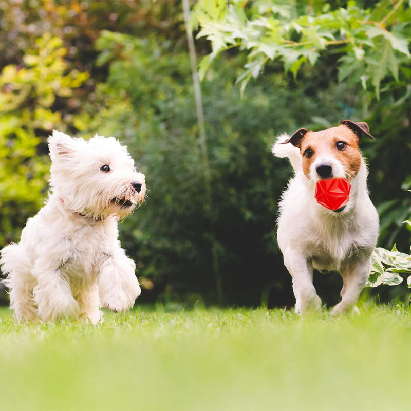 [Australia] - Weewooday 2 Pieces LED Light Up Dog Balls Pet Flash Bouncy Balls Dog Squeaky Balls Interactive Toys for Pets Dogs Party Favor, Blue and Red 