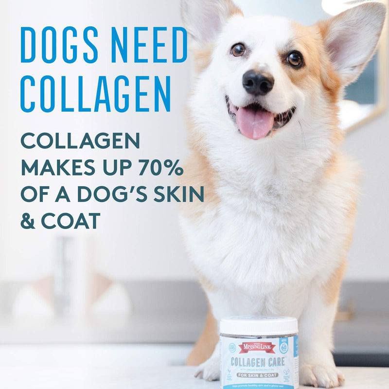 Collagen Care Dog Soft Chews, Nutrional Treat for Canine Skin & Coat Health, 60 Count - PawsPlanet Australia