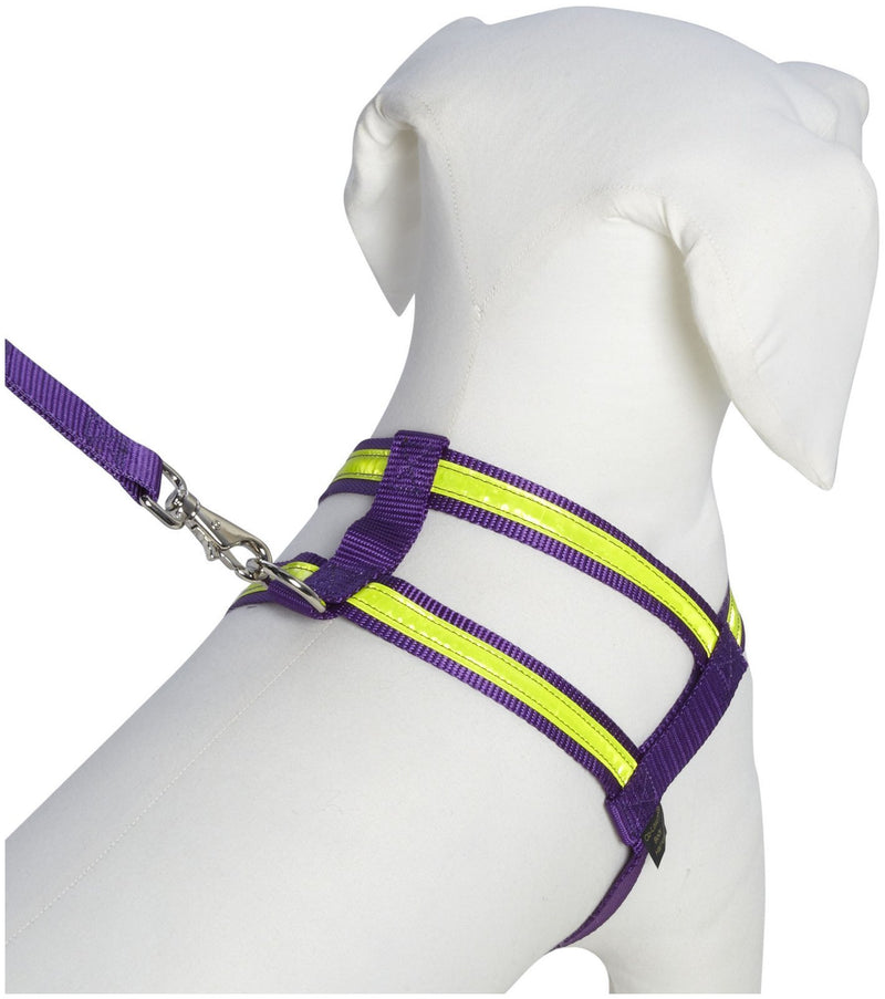 [Australia] - Co-Leash Purple Night Lite Harness - Medium 