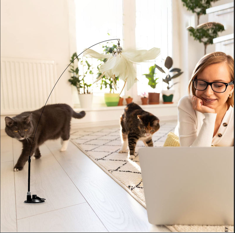 Cat Toys Interactive Cat Feather Wand ,1 Cat Wand Toy and 2Pcs Natural Feathers ,Cat Toys for Indoor Cats Kitten Play Chase Exercise white - PawsPlanet Australia