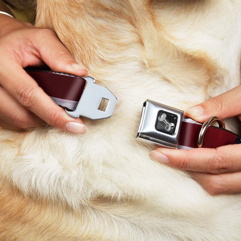 [Australia] - Buckle-Down Seatbelt Buckle Dog Collar - American Flag Vivid CLOSE-UP - 1" Wide - Fits 15-26" Neck - Large 