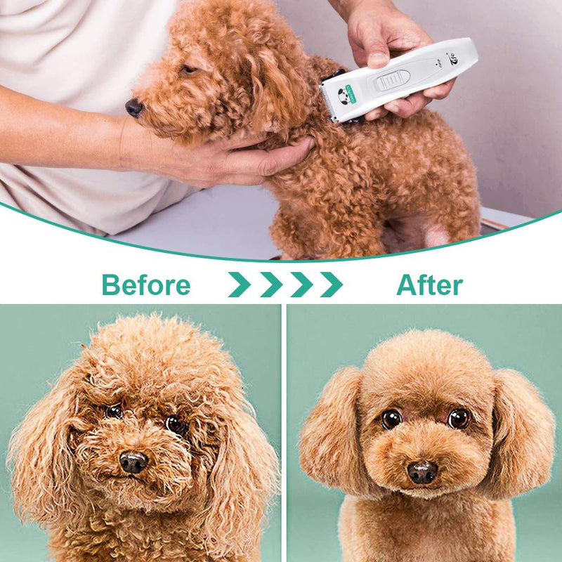 Rant Pet Clipper, Pet Hair Trimmer Low Noise Rechargeable Dogs & Cats Cordless Electric Clippers Set Professional Grooming at Home Accessories - PawsPlanet Australia