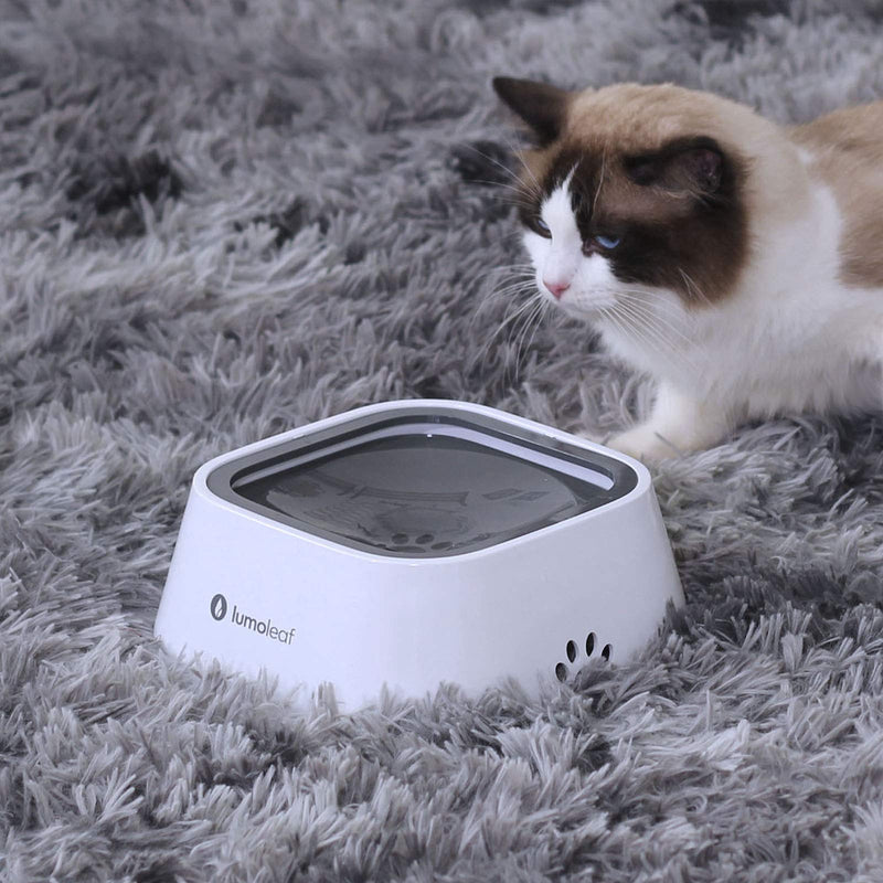 LumoLeaf No-Spill Dog Water Bowl+Cat Tunnel Mat, for Indoor Activities. - PawsPlanet Australia